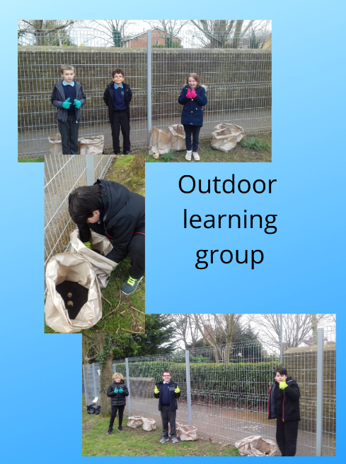 outdoor learning group allotment